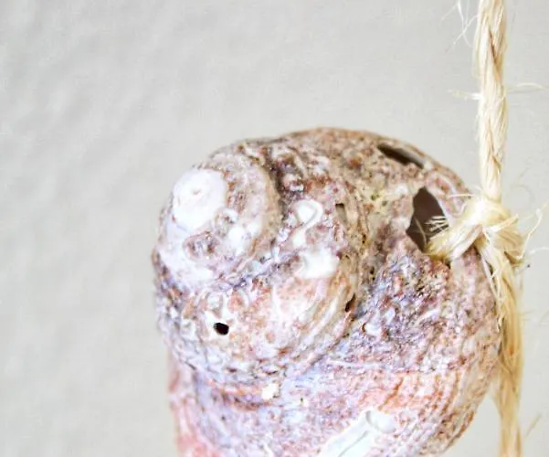 E&m Garden View House Vii 포르체스